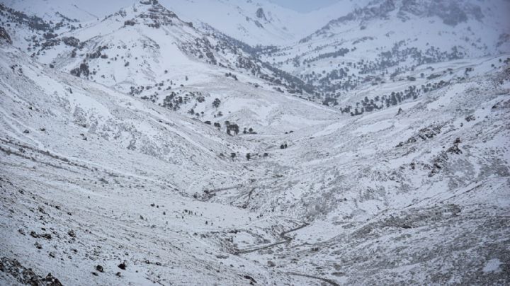 Emiten un alerta meteorológico por intensas nevadas en toda la cordillera de Neuquén