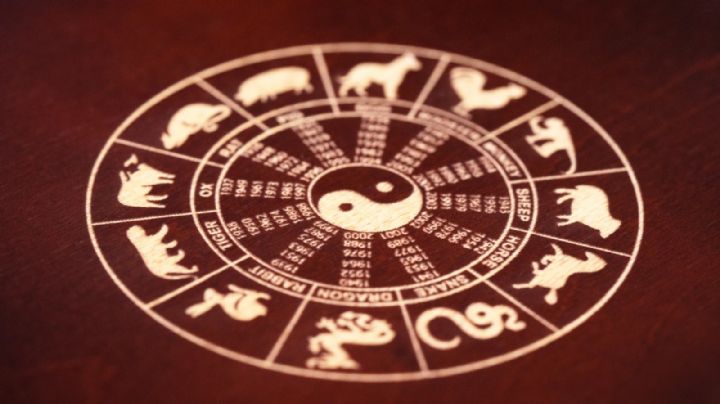 Arrancá la semana con la mejor energía: qué aconseja el horóscopo chino para cada signo