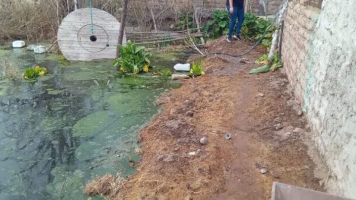 Vecinos de Villa Obrera en Centenario reclaman respuesta ante el desborde de una laguna