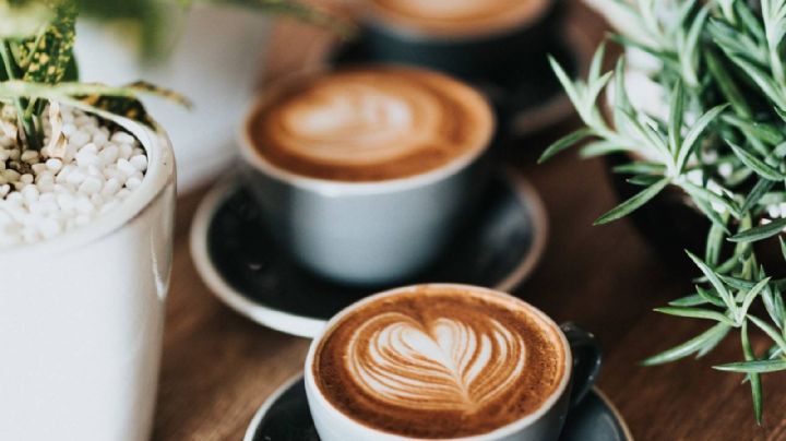 Sin gastar un peso: mirá cómo espumar la leche en casa y que quede como de cafetería