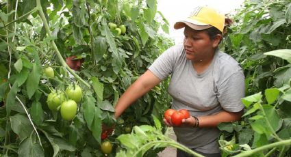 El Gobierno lanzará un programa destinado a mujeres productoras del sector agrícola-ganadero