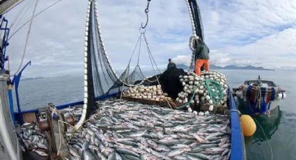 Gobernadores de la Patagonia expresaron su preocupación por las modificaciones en la Ley de Pesca