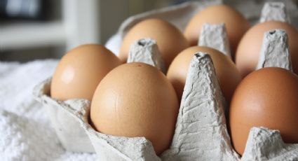 No tires los maples de huevos: así podés crear estos coquetos organizadores