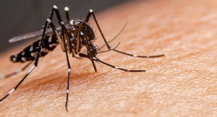 Por aumento en los casos de dengue, el Ministerio de Salud lanzó varias recomendaciones